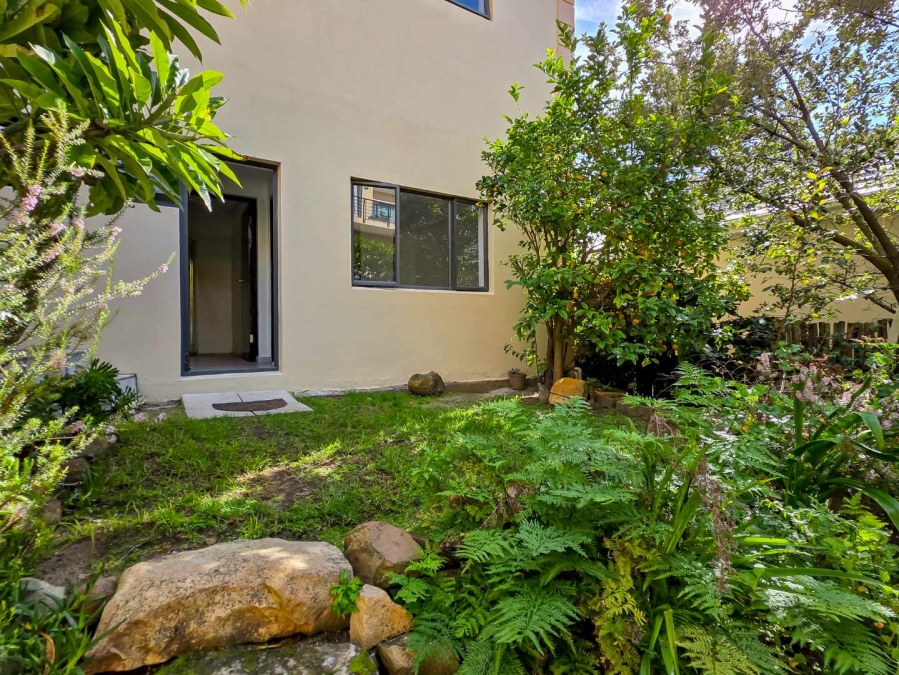 To Let 4 Bedroom Property for Rent in Oranjezicht Western Cape